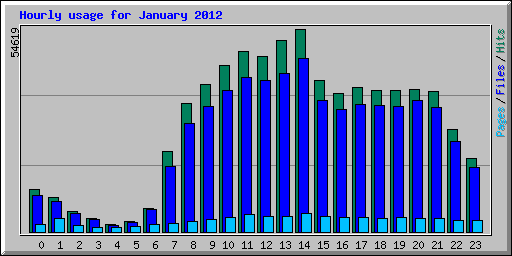 Hourly usage for January 2012